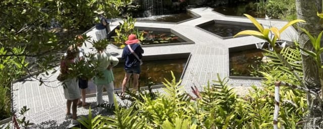 Mounts Botanical Garden, from its own website