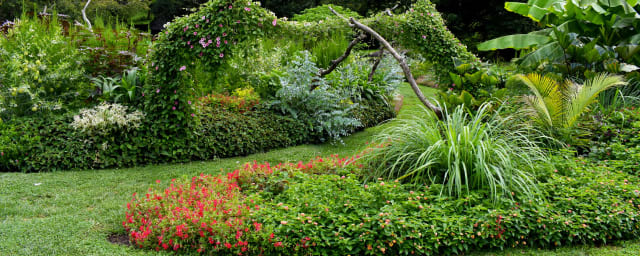 Morris Arboretum & Gardens of the University of Pennsylvania, from its own website
