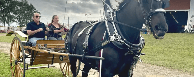 draft horse demonstration — Butler Farm Show Inc., from its own website