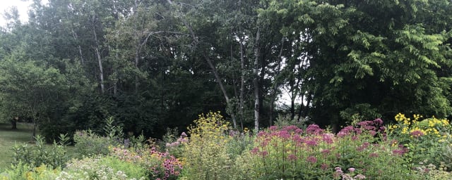 Snetsinger Butterfly Garden, from its own website
