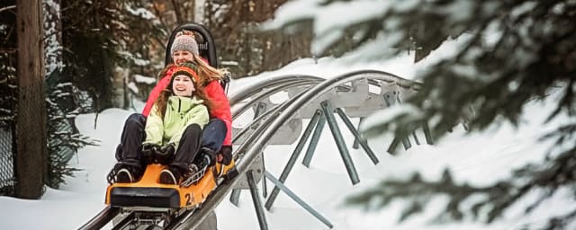 Aerie's Alpine Coaster, from its own website