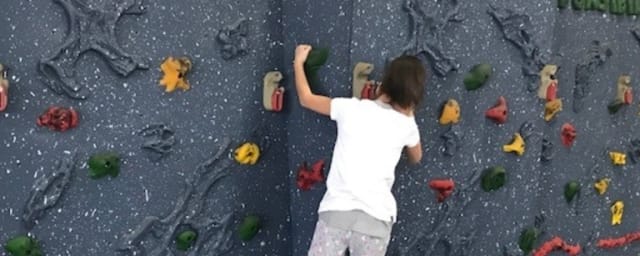 Harrison Park Fieldhouse Climbing Wall, from its own website
