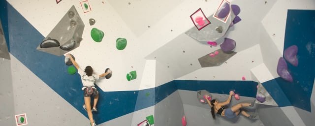 venue interior — Philadelphia Rock Gyms - Wyncote, from its own website