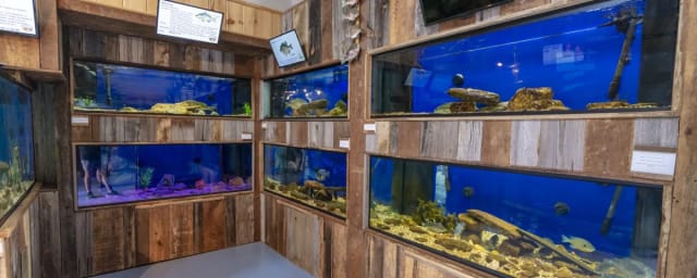 Appalachian Rivers Aquarium, from its own website