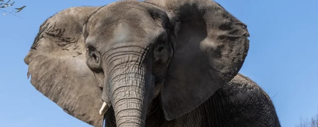 exhibit photograph — Pittsburgh Zoo & Aquarium, from its own website