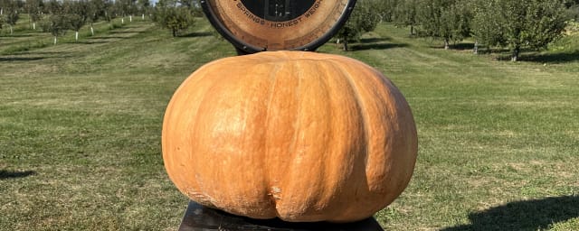 Harvest Time Orchards, from its own website