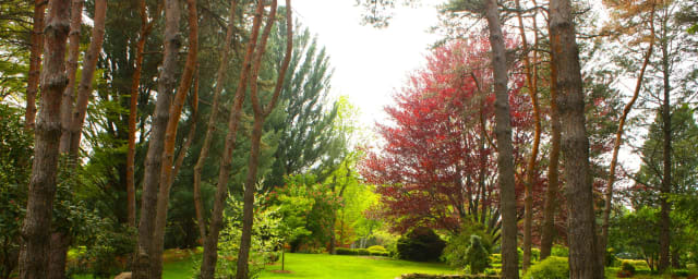 Schoepfle Gardens, from its own website