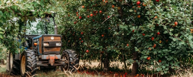 Apple Valley Orchard, from its own website