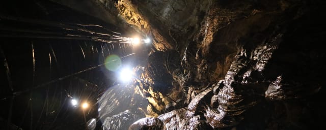 Moaning Caverns Adventure Park, from its own website
