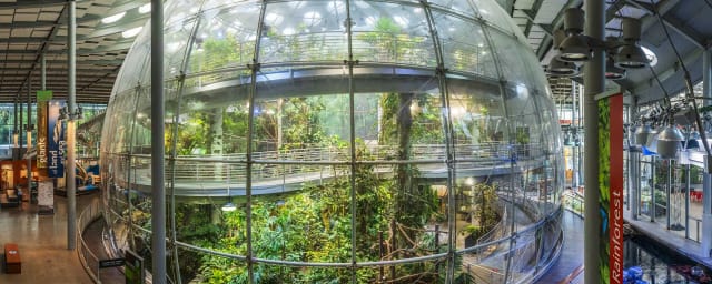 California Academy of Sciences, from its own website