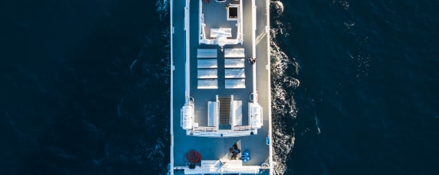 Condor Express Whale Watching, from its own website