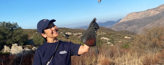 Sky Falconry, from its own website