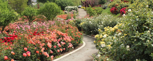 Woodlake Botanical Garden, from its own website