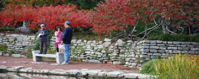 Cox Arboretum MetroPark, from its own website