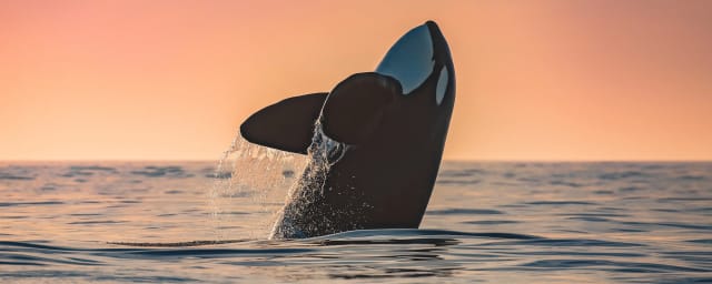 Slater Moore Photography, from its own website