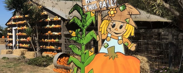 Borchard Farms, from its own website