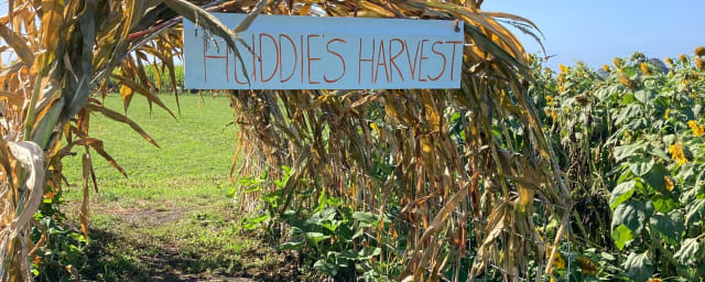 Huddie’s Harvest, from its own website