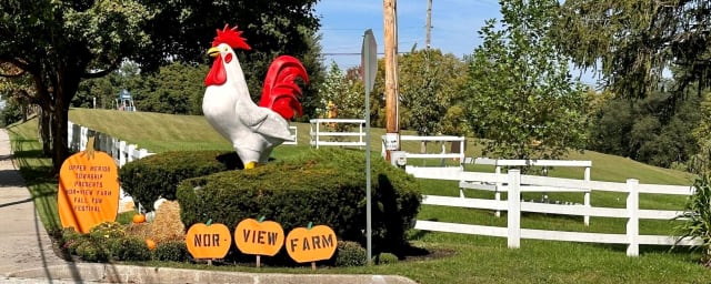Nor-View Farm Park, from its own website