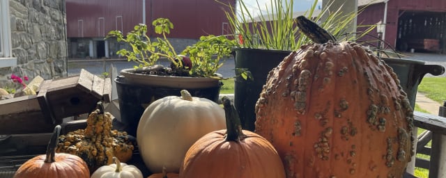decoration macro — Seiple Farms, from its own website