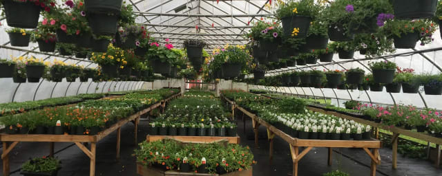 Engelke Farm, from its own website