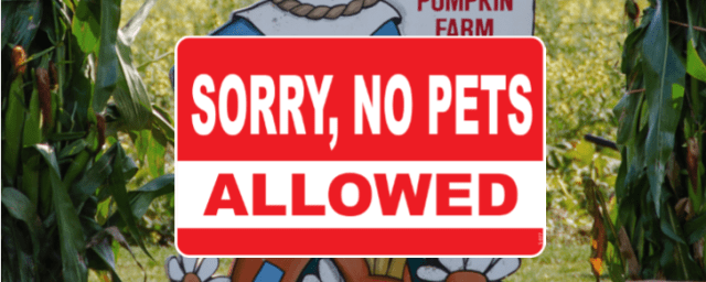 Stakey's Pumpkin Farm, from its own website