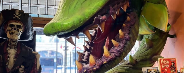 Museum of the Weird, from its own website
