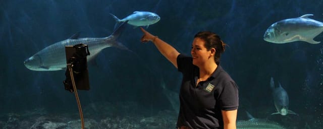 Sea Center Texas, from its own website
