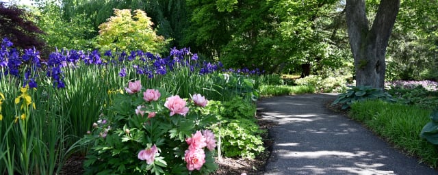 Bayard Cutting Arboretum, from its own website