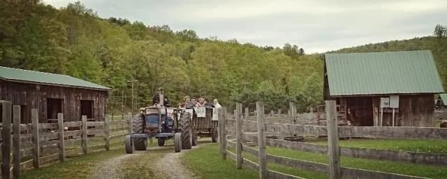 Farmland Animal Park, from its own website