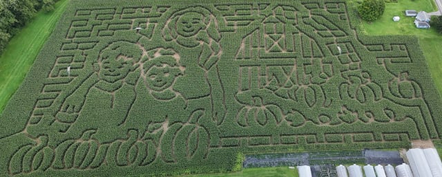 Stoughton Farm, from its own website
