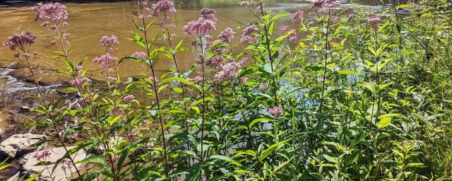 Charles E. Burchfield Nature & Art Center, from its own website