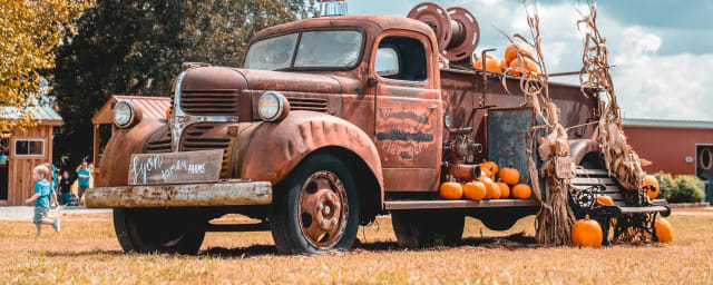 Lyon Family Farms, from its own website