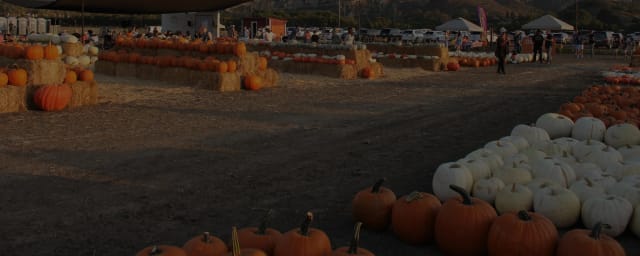 Conejo Family Farms, from its own website