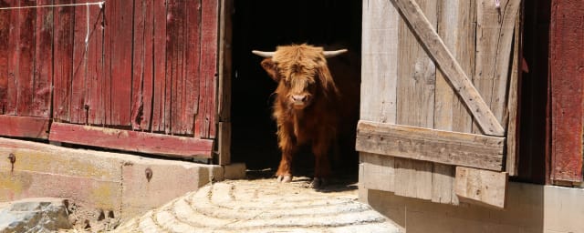 46 Ranch, from its own website