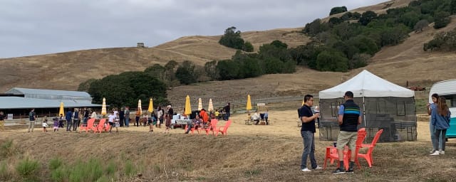 Grossi Family Farm Pumpkin Patch, from its own website