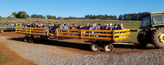 Maple Lane Farms, from its own website