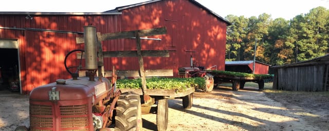 Page Farms, from its own website