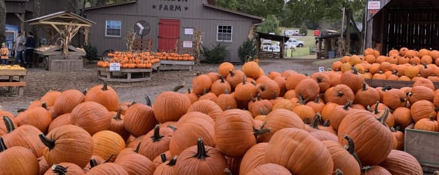 Walden Pumpkin Farm, from its own website