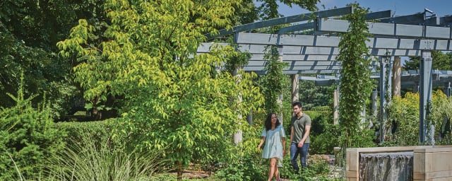 The Morton Arboretum, from its own website