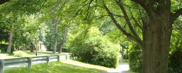 Buckingham Lake Park, from its own website