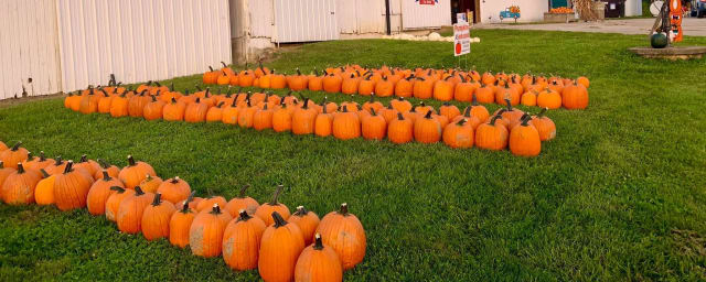 Schappacher Farms, from its own website