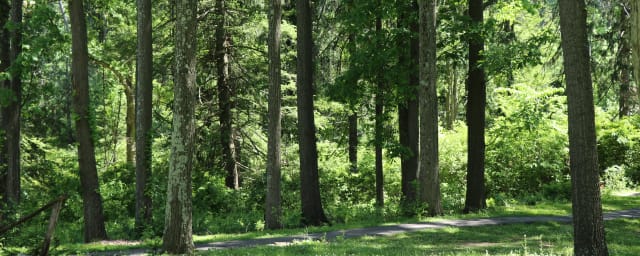 Bushy Run Battlefield, from its own website