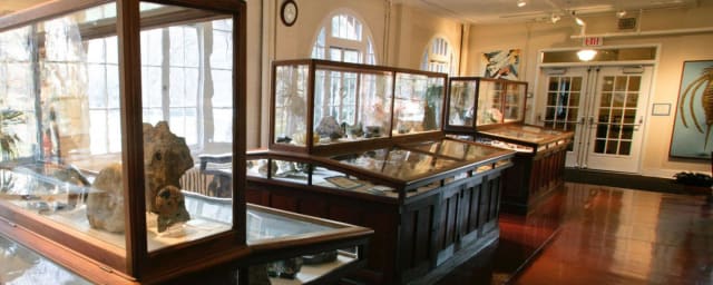 A. Scott Warthin Jr. Museum of Geology and Natural History, from its own website