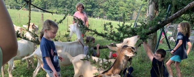Flint Hill Farm Educational Center, from its own website