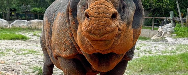 Central Florida Zoo & Botanical Gardens, from its own website