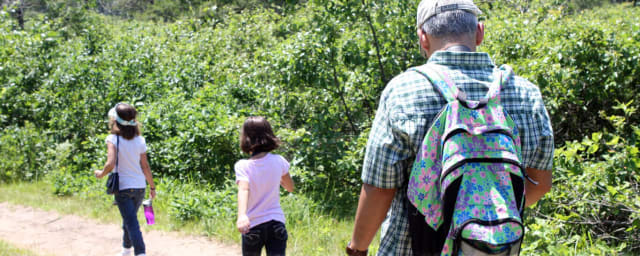 Albany Pine Bush Preserve, from its own website