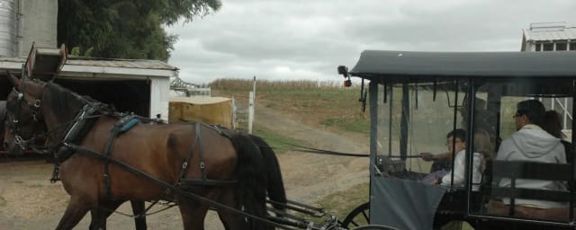 AAA Buggy Rides, from its own website