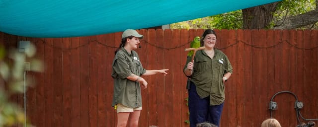 The Texas Zoo, from its own website
