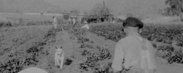 Poway Heritage Museum, from its own website