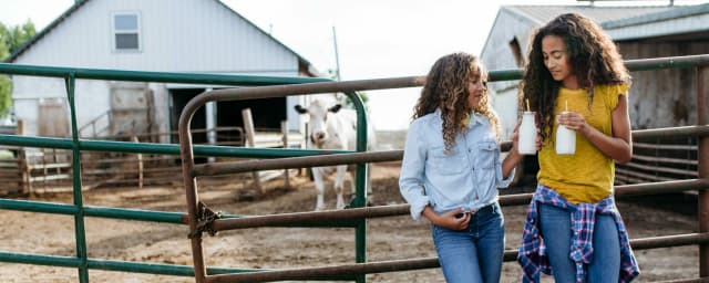 Mayfield Dairy Visitor Center, from its own website